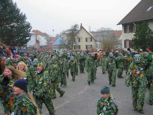 ../Images/2005-01-16_Narrenverein in Gottmadingen_025.jpg